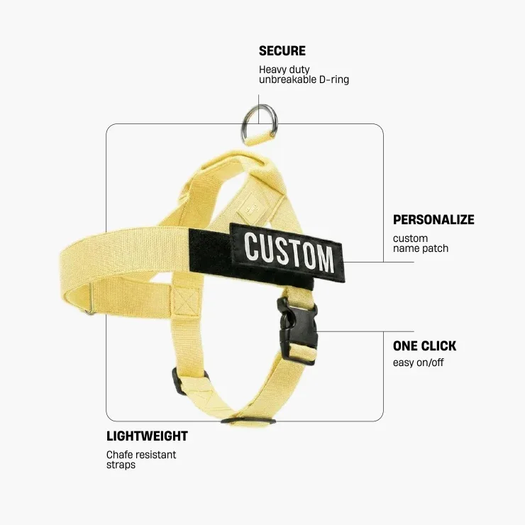 Personalised Dog Harness - Yellow - Image 2