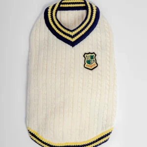 Prep School V-Neck Dog Sweater