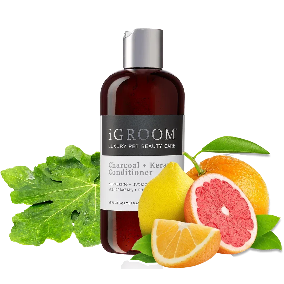 Charcoal and Keratin Conditioner 16oz by iGroom - Image 2