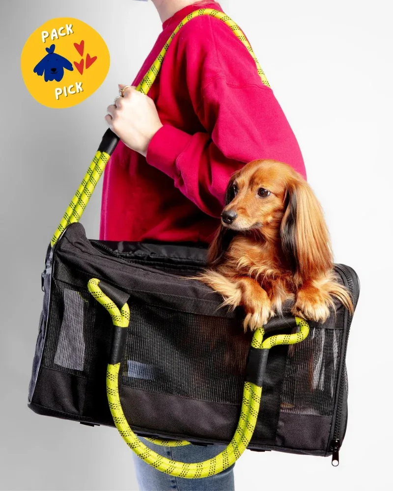 Out-Of-Office Airline Compliant Pet Carrier in Black w/ Neon Yellow (Pro Edition)