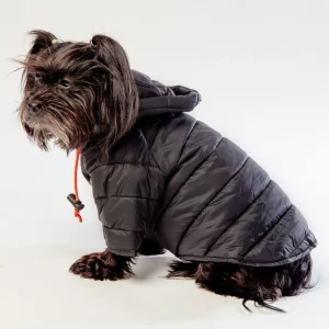 Dog Puffer Jacket in Black <>
