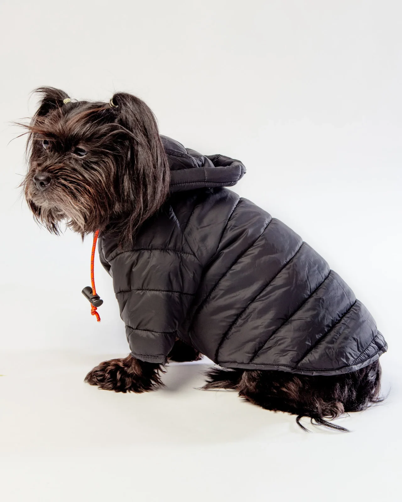 Dog Puffer Jacket in Black <>