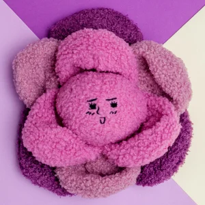Red Cabbage Nosework Dog Toy