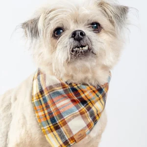 Cornucopia Flannel Fall Dog Bandana (Made in the USA) (FINAL SALE)
