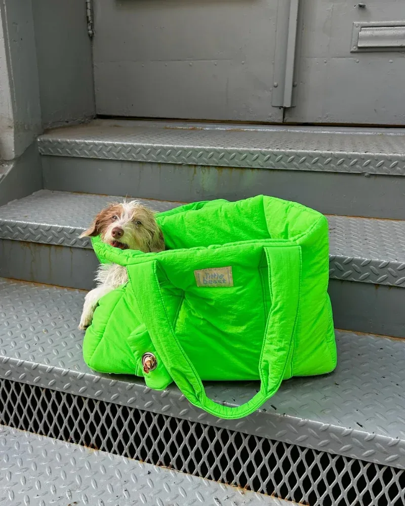 The Little Beast Dog Carrier in Jackpot - Image 2