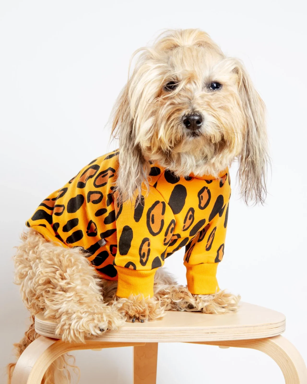 Animal Print Dog Sweatshirt in Yellow (FINAL SALE) - Image 2