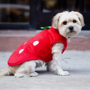 Fleece Sweet Strawberry Dog Pullover