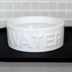 Classic Water Ceramic Pet Bowl in White