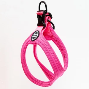 Buddy Belt Sport Harness for Dogs in Neon Pink