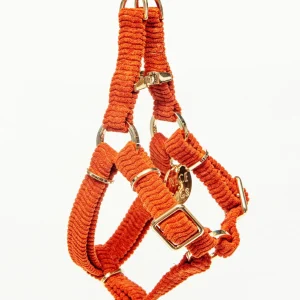 Cord Dog Harness in Rust (FINAL SALE)