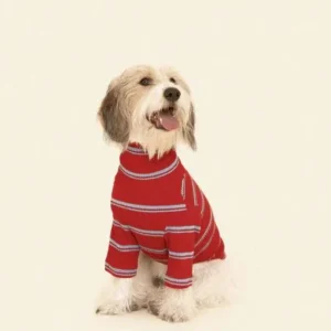 Star Shooter Pullover Dog Shirt