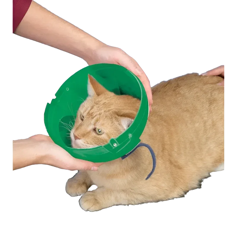 Cat and Small Dog E-Collar and Muzzle - Image 2