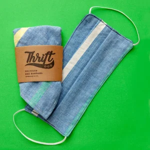 Face Mask & Dog Bandana Set in Light Blue Stripe