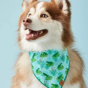 Frog Pond Spring Dog Bandana (Made in the USA) (FINAL SALE)