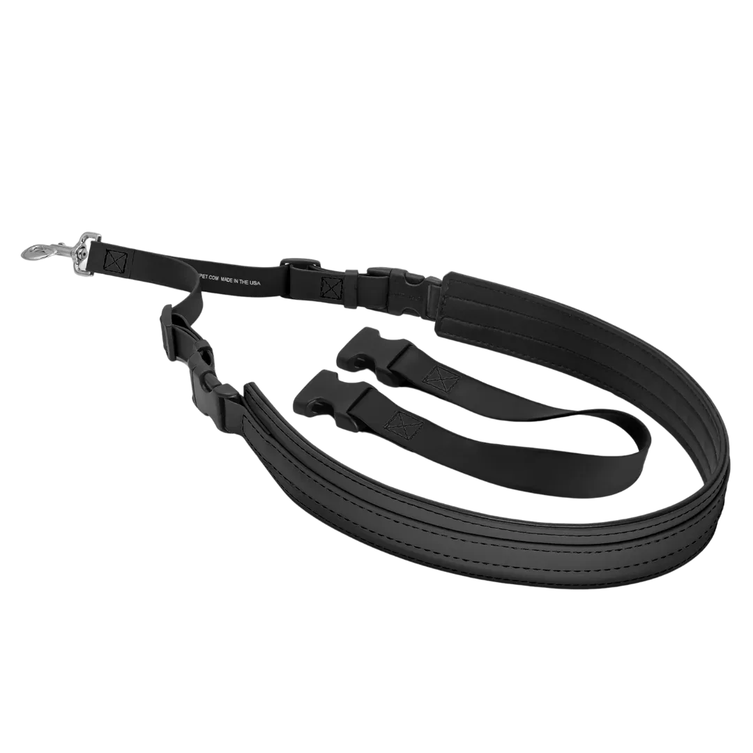 Belly Loop Black by Jelly Pet
