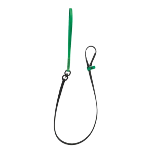 Swivel Slip Lead Lime Green by Alpha Grooming