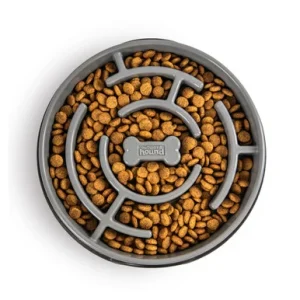 Fun Feeder Slo Bowl, Gray, Large