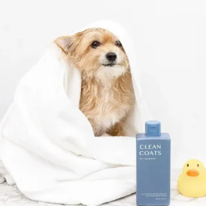 Sensitive Dog Shampoo (Fragrance Free) (FINAL SALE)