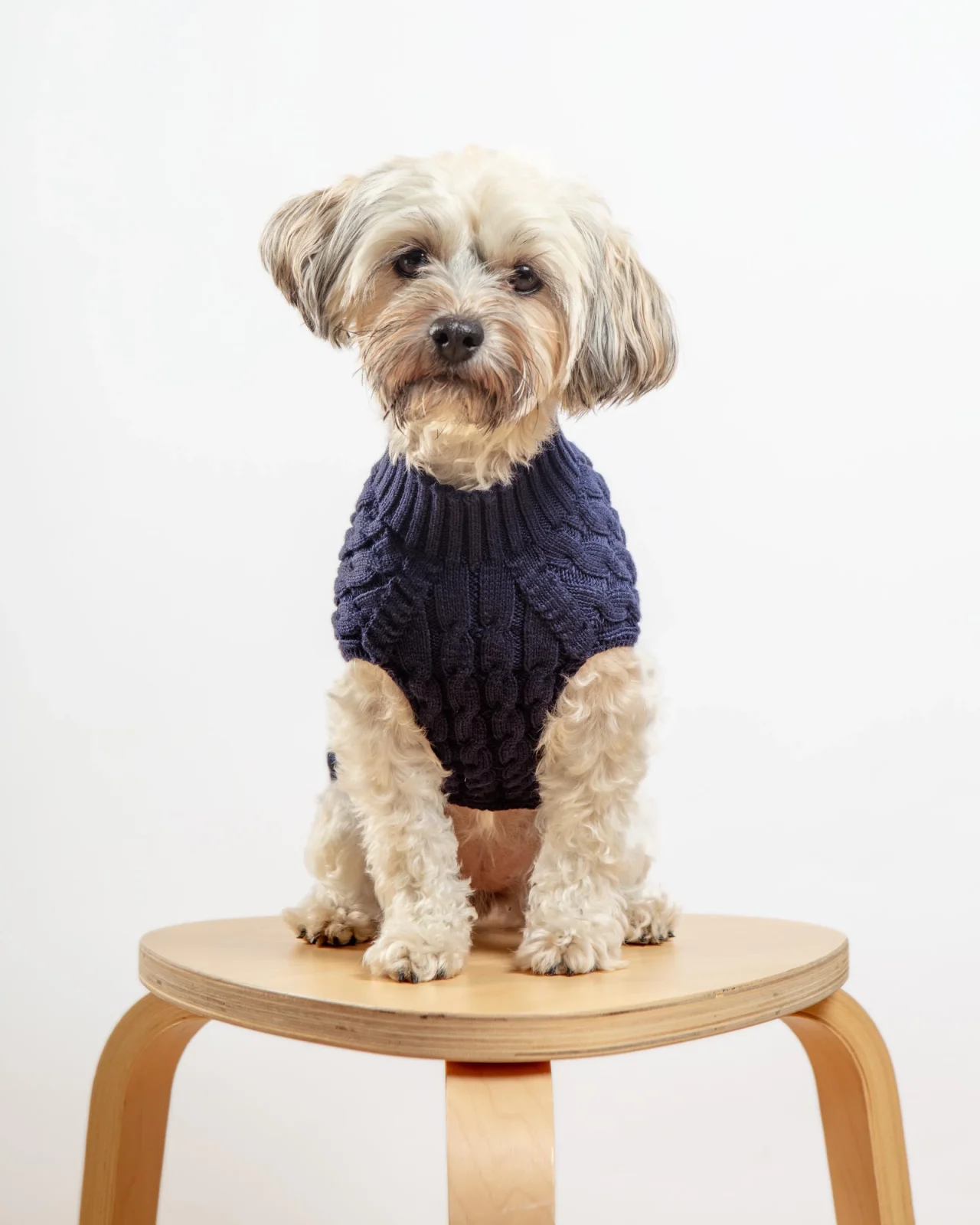 The Uptown Cable Knit Sweater in Navy Blue Cotton (Made in NYC)