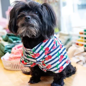 Cheerful Cherries Collared Dog Shirt (SIDEWALK SALE)