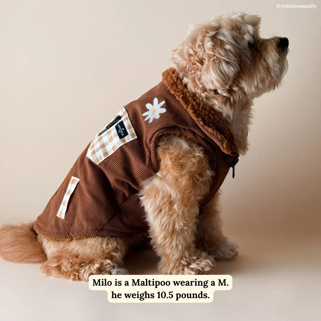 Chocolate Meadows Reversible Teddy Vest - Image 2