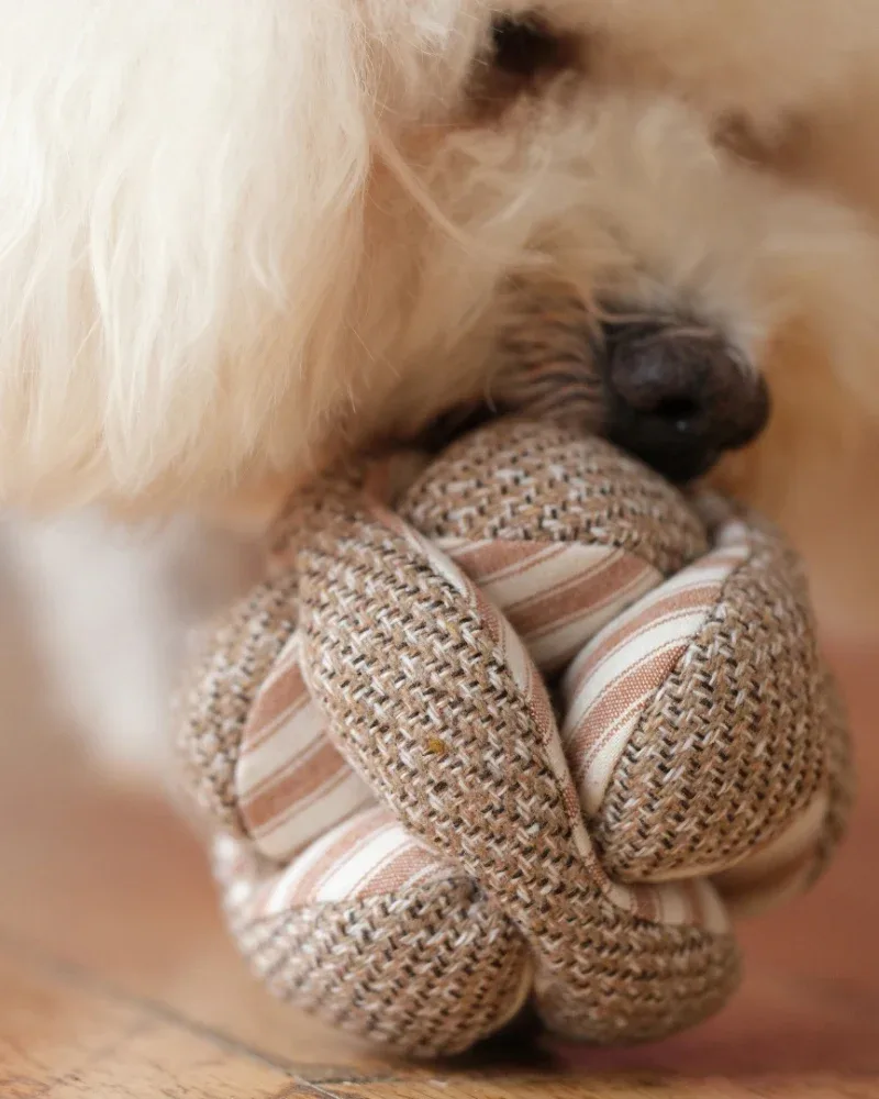 Mini Monti Enrichment Dog Toy - Image 2