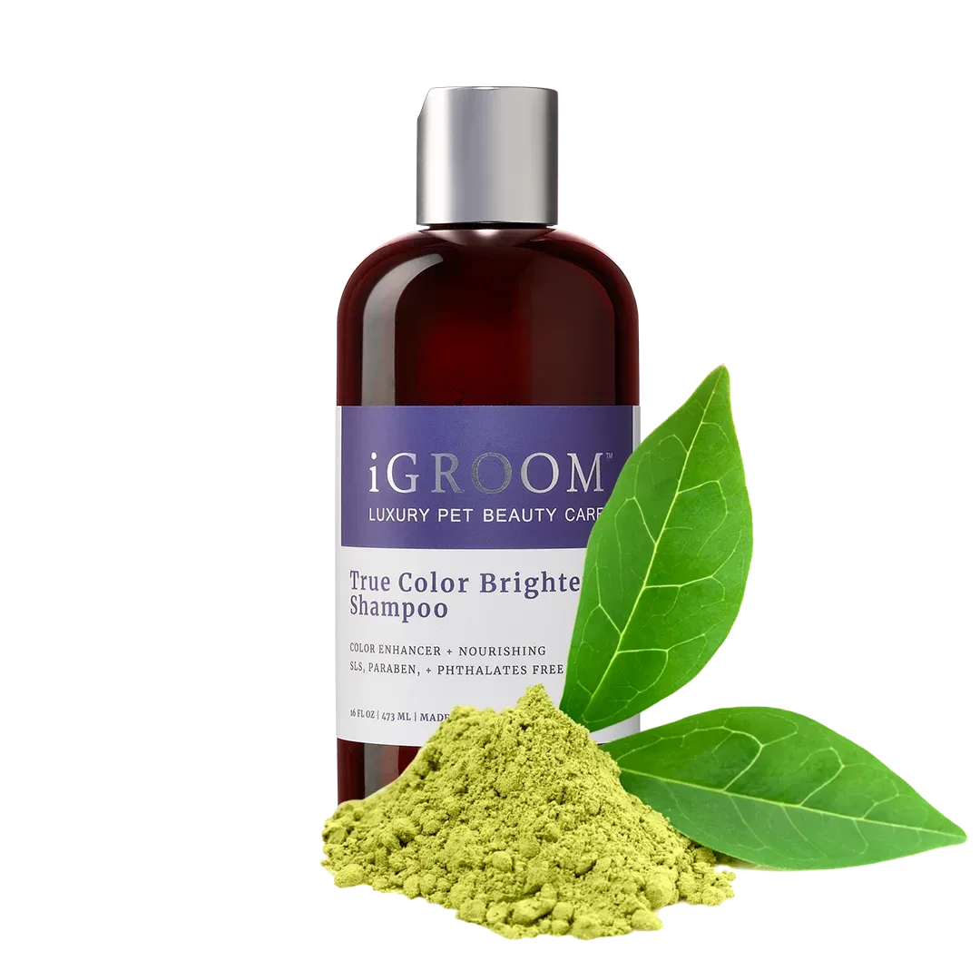 True Color Brightening Shampoo 16oz by iGroom - Image 2
