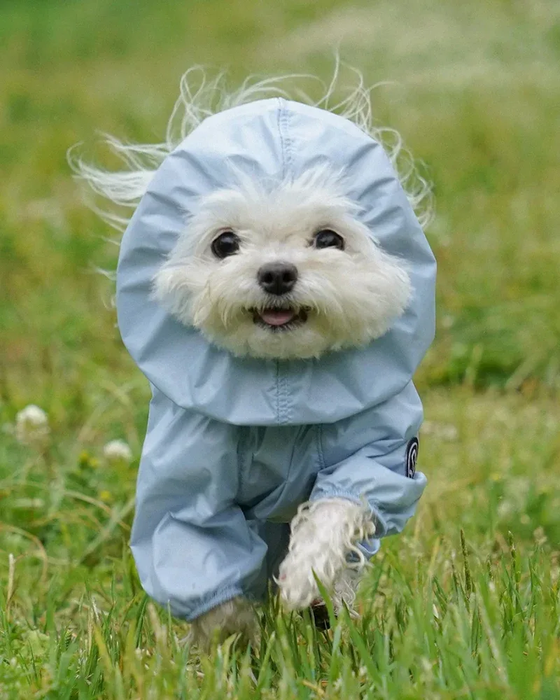 Waterproof Air Coverall for Dogs