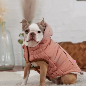 Arctic Dog Parka in Clay (FINAL SALE)