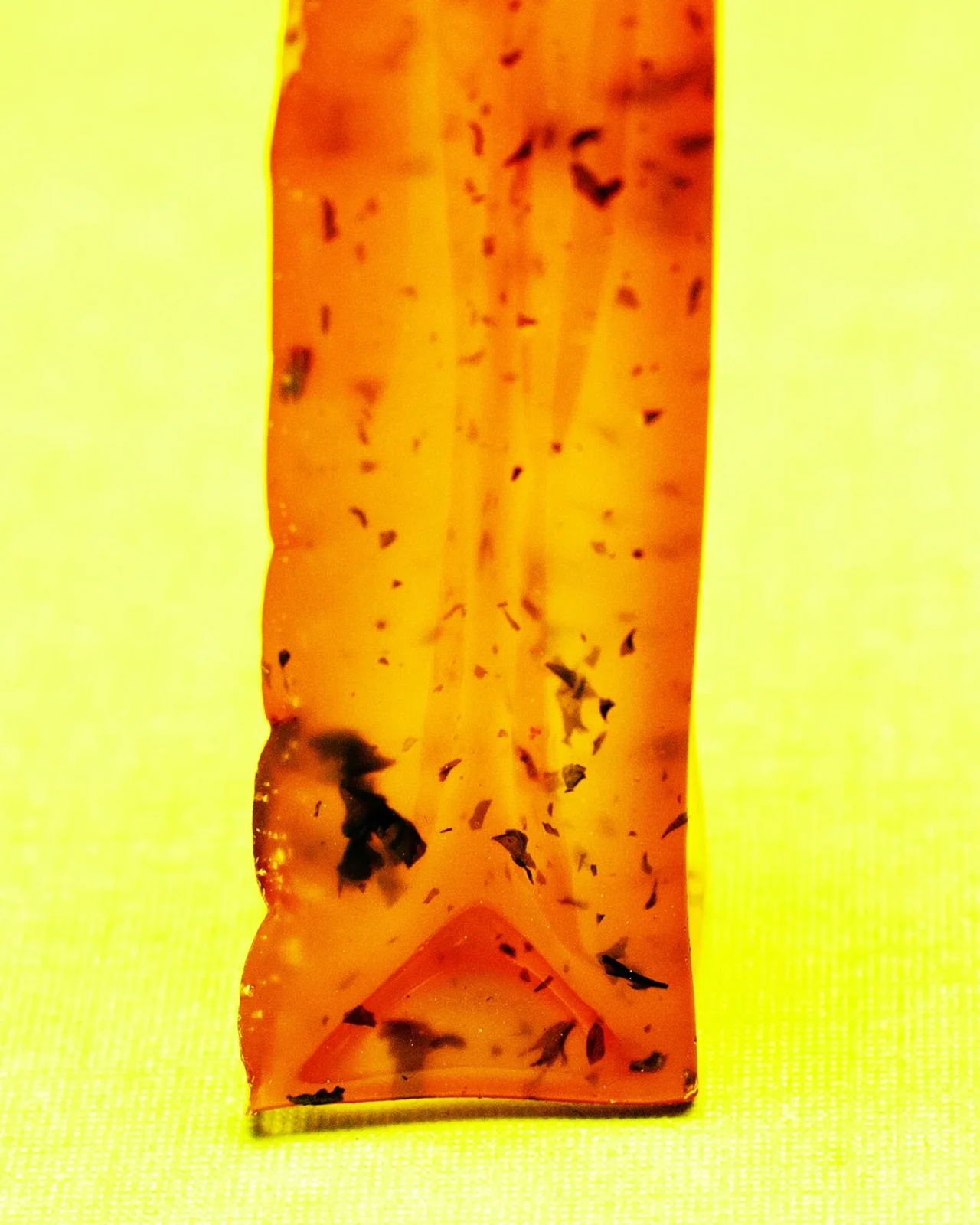 Bone Broth Dog Chew Stick - Image 2