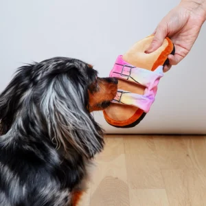 Barkenstock Rainbow Sandal Squeaky Dog Toy