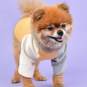 Color Block Dog T-Shirt in Yellow