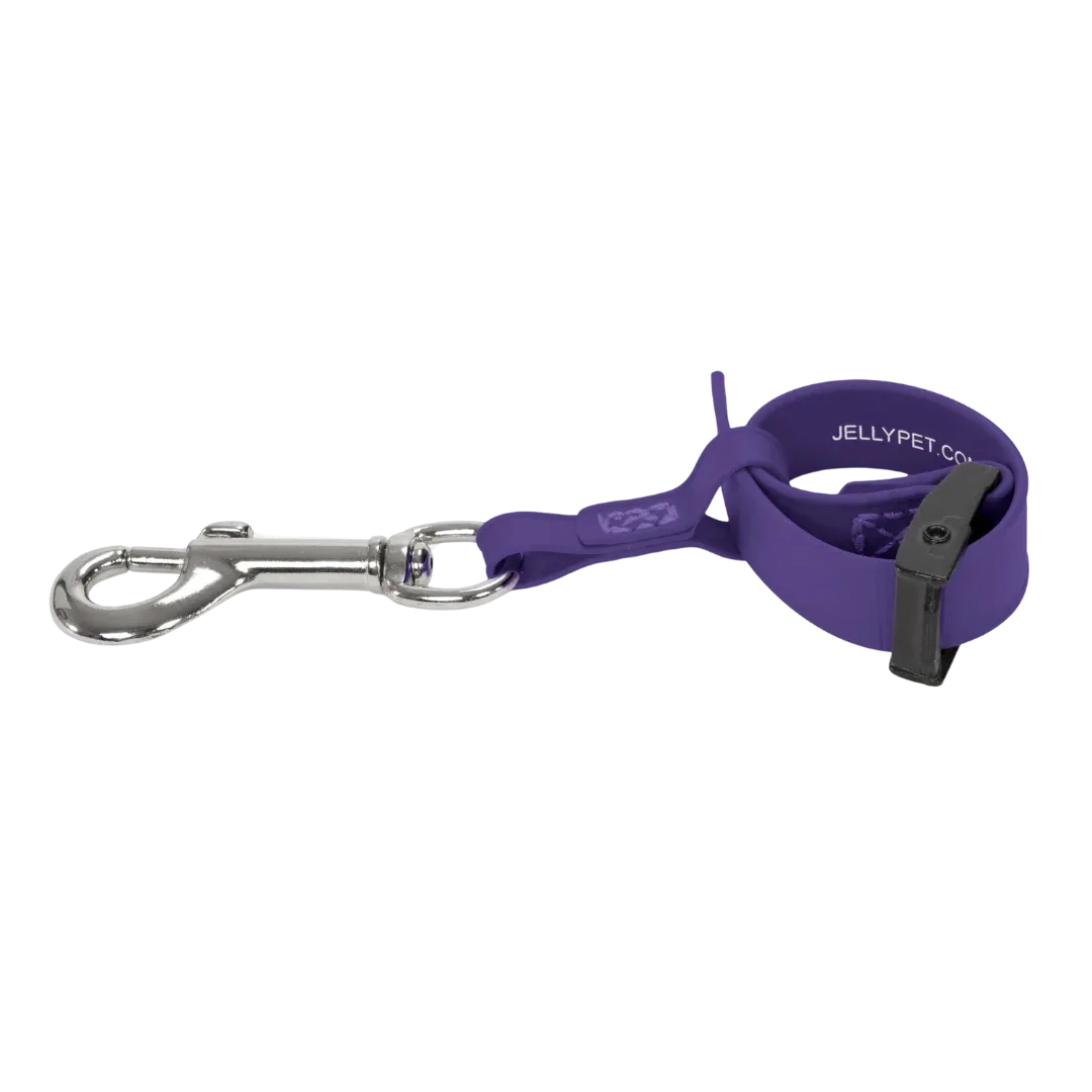 Safety Tether Purple by Jelly Pet