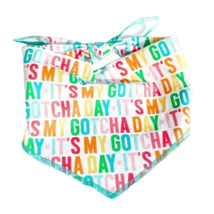 Gotcha Day Rainbow Barkday Bandana