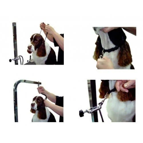 5/8" Large Grooming Loop Blue by Groomer's Helper - Image 2