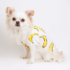 Banana Button Down Dog Shirt (FINAL SALE)