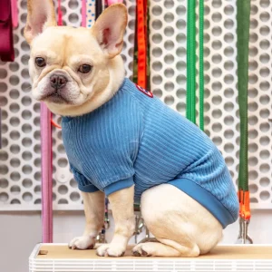 Amber Dog Tee in Sky Blue (FINAL SALE)
