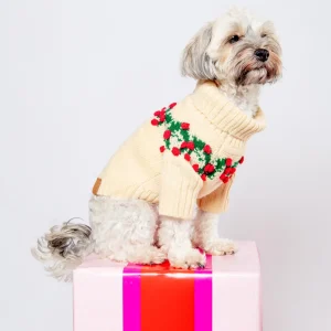 Holly Bobble Dog Sweater