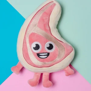 Piggy Smalls Squeaky Plush Dog Toy (FINAL SALE)