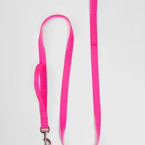 Nylon Dog Leash in Neon Pink (Made in the USA)
