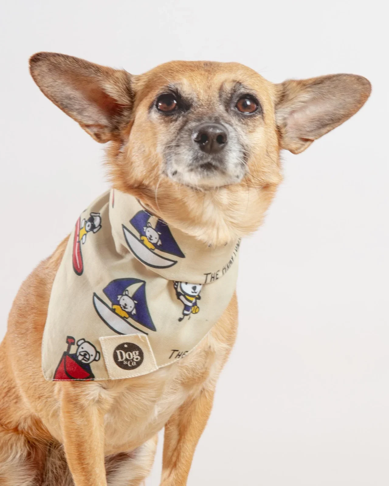I Heart the Hamptons Dog Bandana (Dog & Co. Exclusive) - Image 2