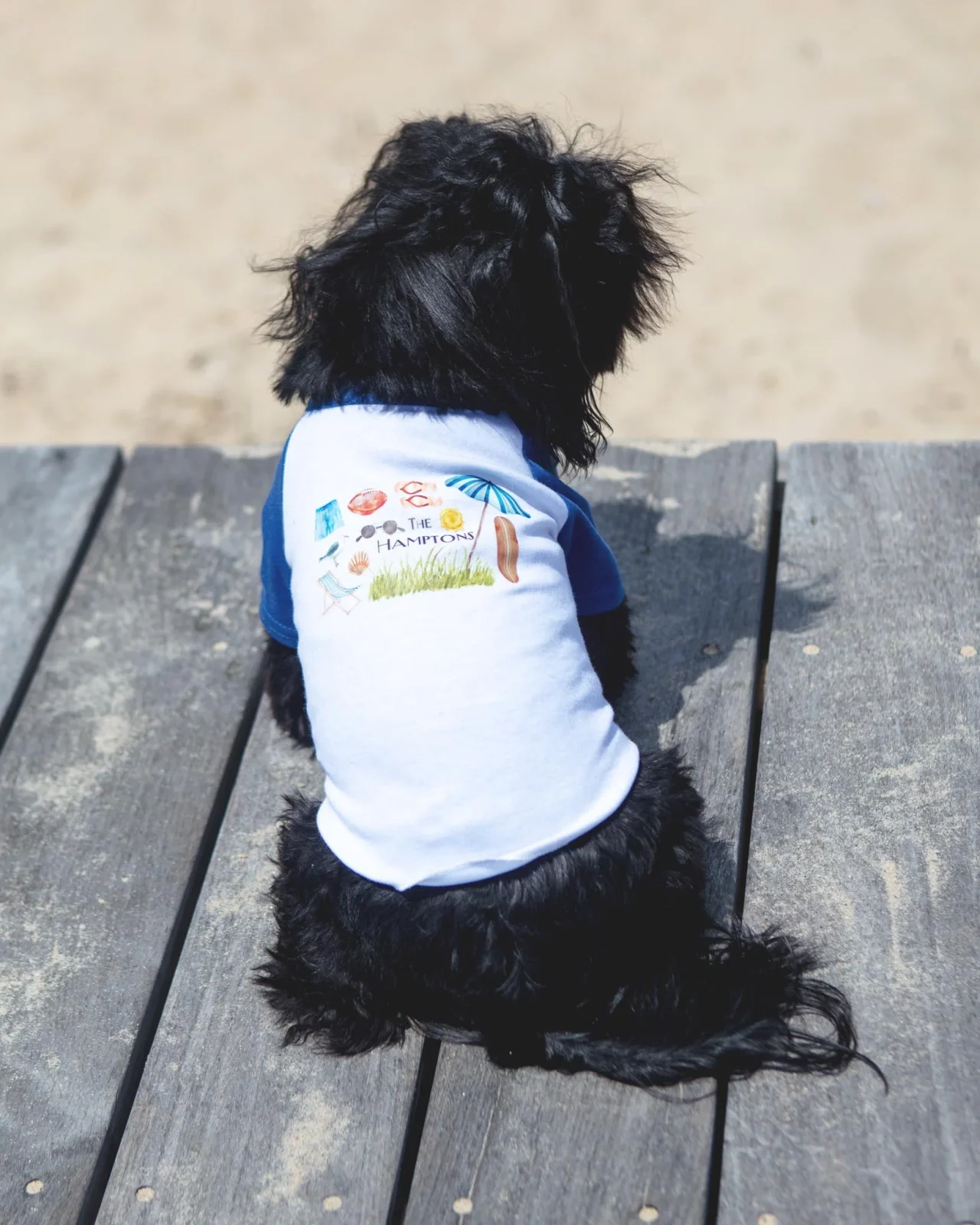 *The Hamptons* Graphic Dog T-Shirt in Surf Blue - Image 2
