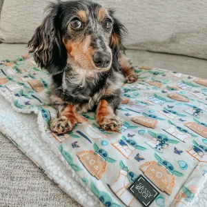 Pet Blanket - STAR WARS™ The Child™