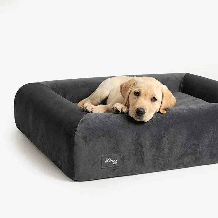 Premium Orthopedic Memory Foam Dog Bed - Charcoal (Medium) (LP) - Image 2
