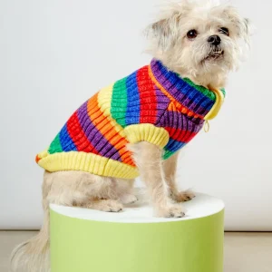 Over The Rainbow Dog Sweater (FINAL SALE)