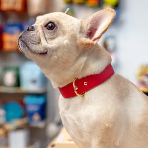 Moni Dog Collar in Red Leather (Made in Italy) (FINAL SALE)