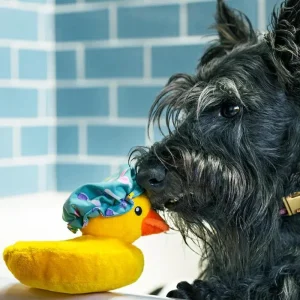 Bubbles the Duck Squeaky Plush Dog Toy
