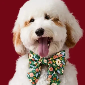 Secret Garden Lady Dog Bow (Made in the USA) (FINAL SALE)
