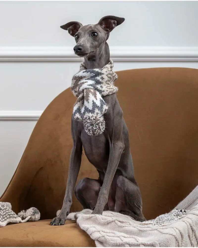 Wooly Winter Alpaca Dog Scarf
