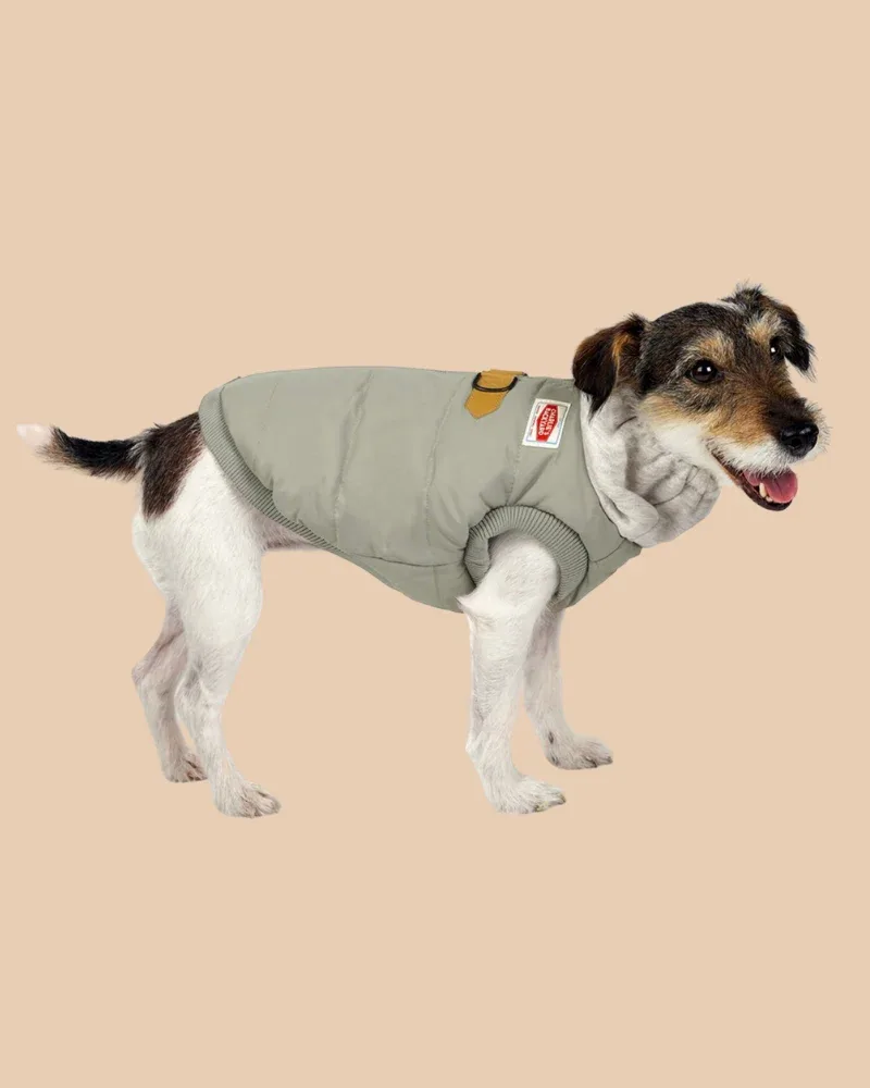 Warm Up Harness Jacket in Beige - Image 2